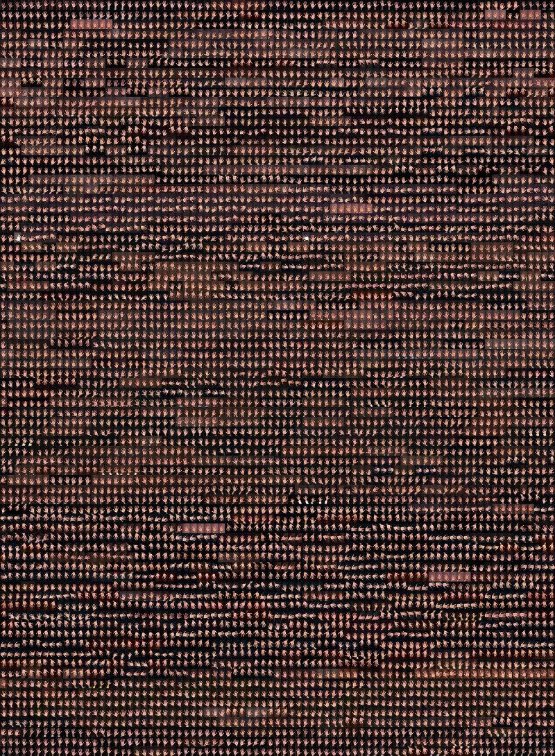 Thumbnail for Ground Truth